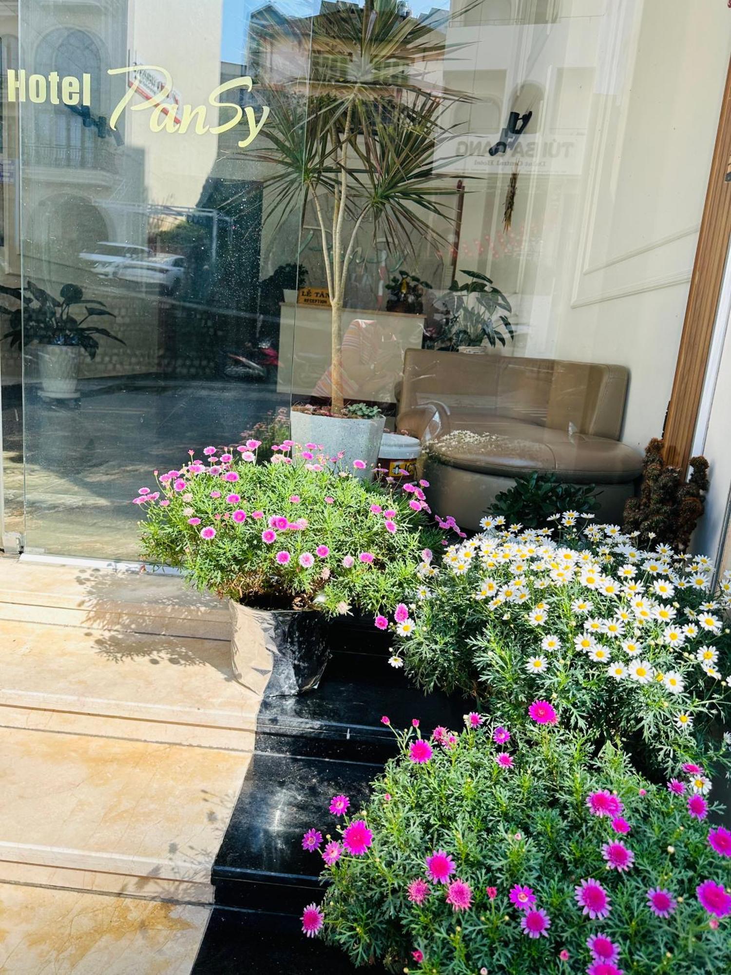 فندق بانسي دالات المظهر الخارجي الصورة